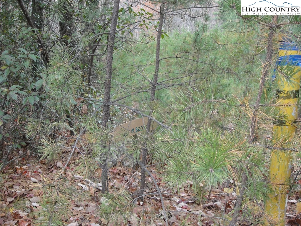 Lot 78 Buck Mountain Road Purlear, NC 28665 - Photo 9 of 16