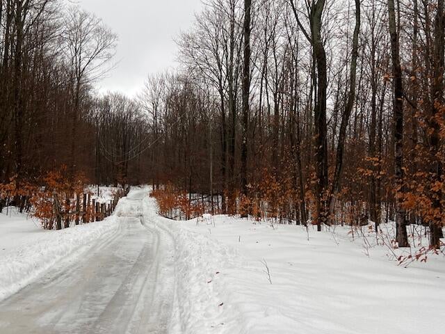 3833 Valley Road Levering, MI 49755 - Photo 32 of 35 IMG_8396