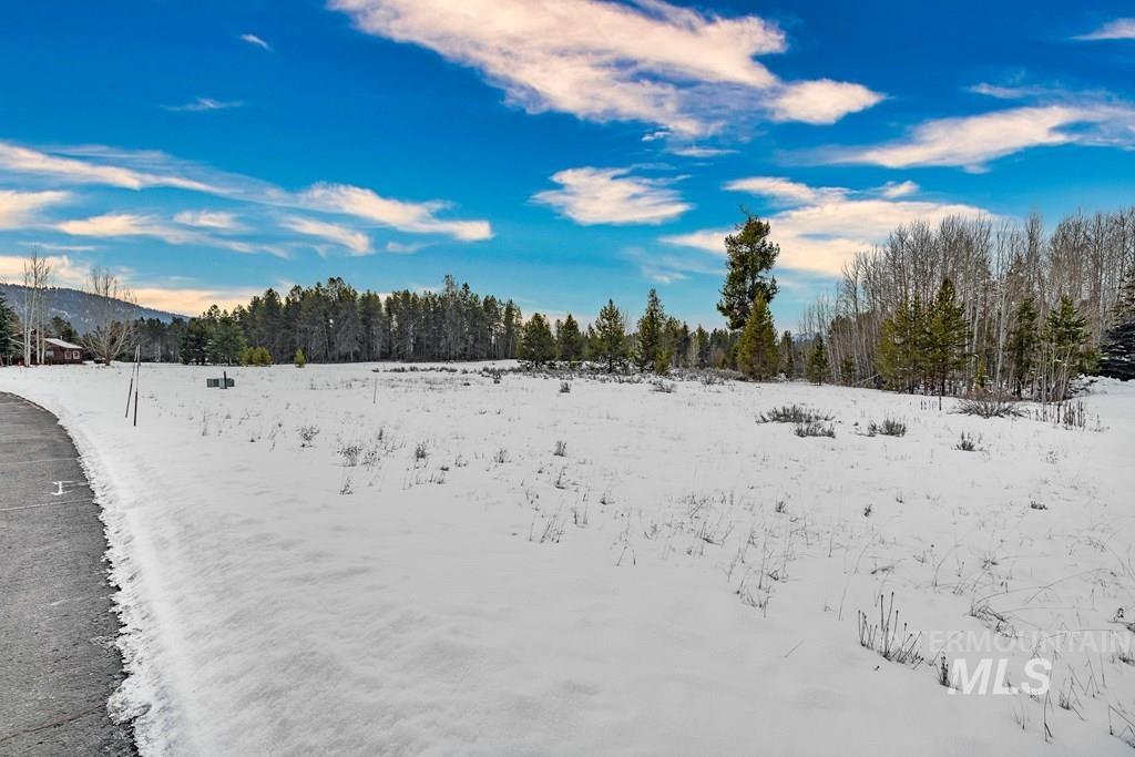 241 West Jug Road McCall, ID 83638 - Photo 12 of 18
