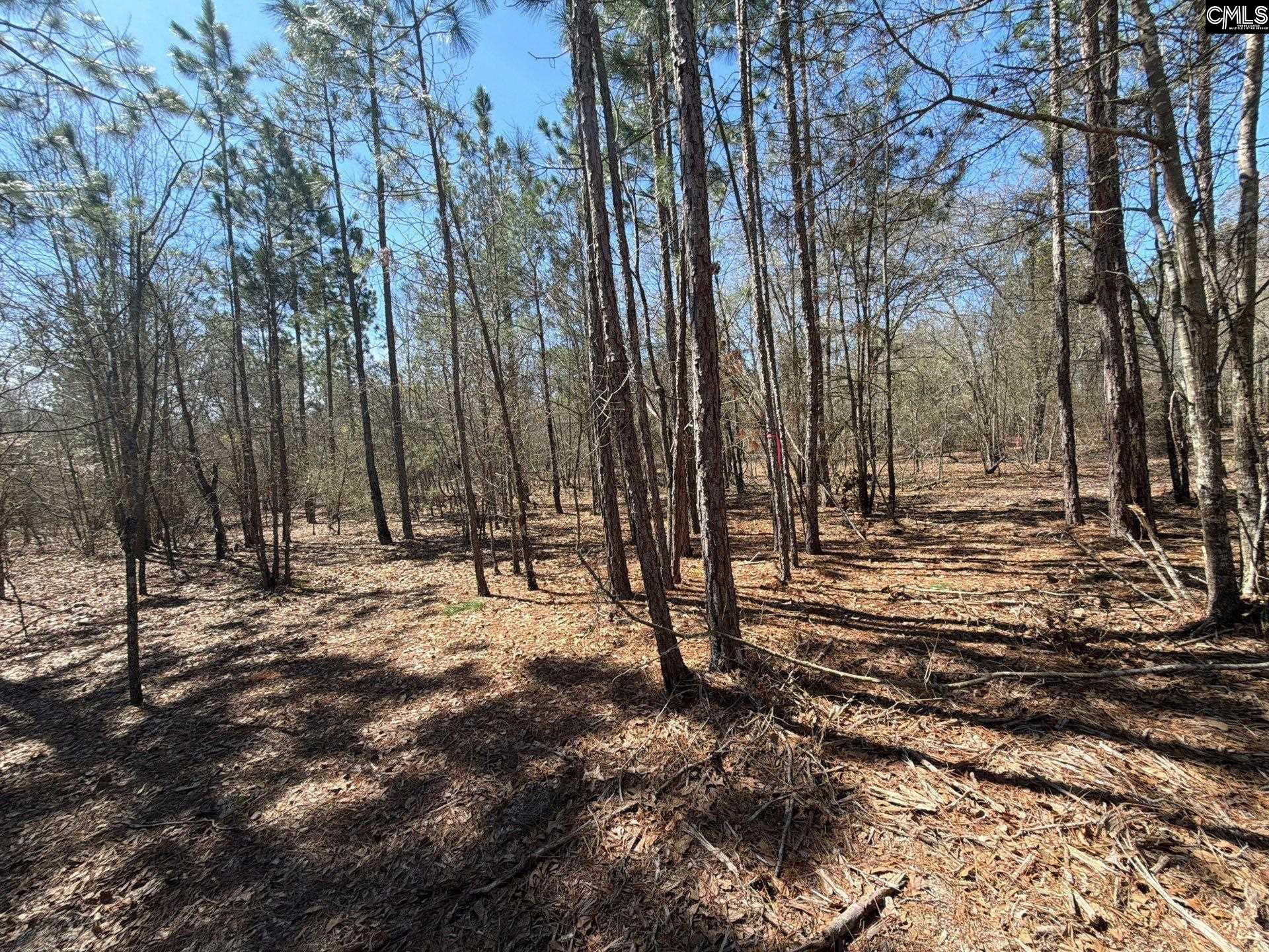 9 Boise Cascade Road, Unit BHL 9 Bethune, SC 29009 - Photo 31 of 44