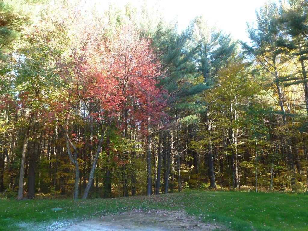 10 Cider Mill Road North Brookfield, MA 01535 - Photo 18 of 20 Gallery Image 18