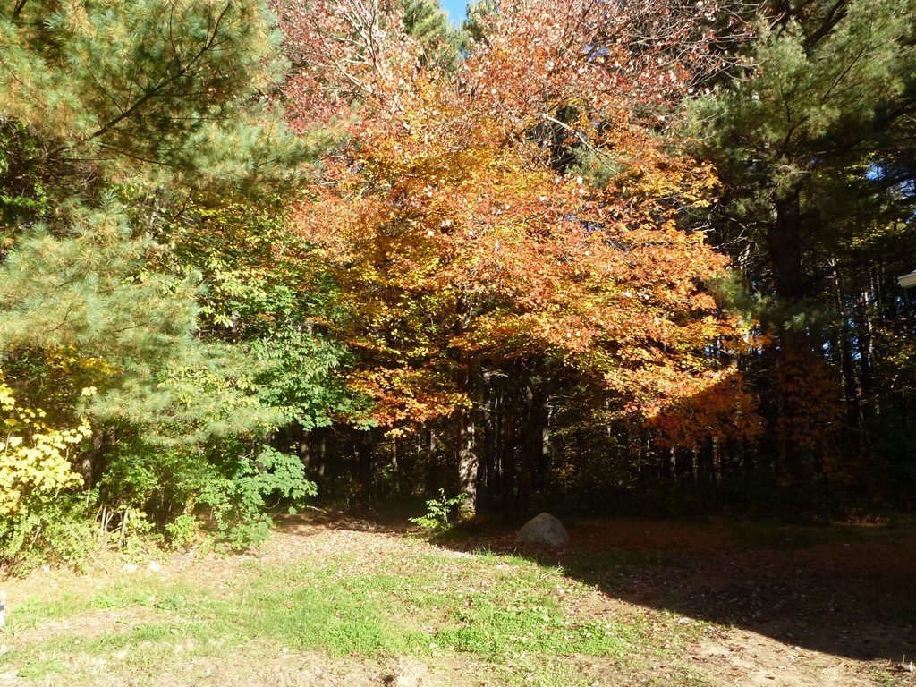 10 Cider Mill Road North Brookfield, MA 01535 - Photo 19 of 20 Gallery Image 19