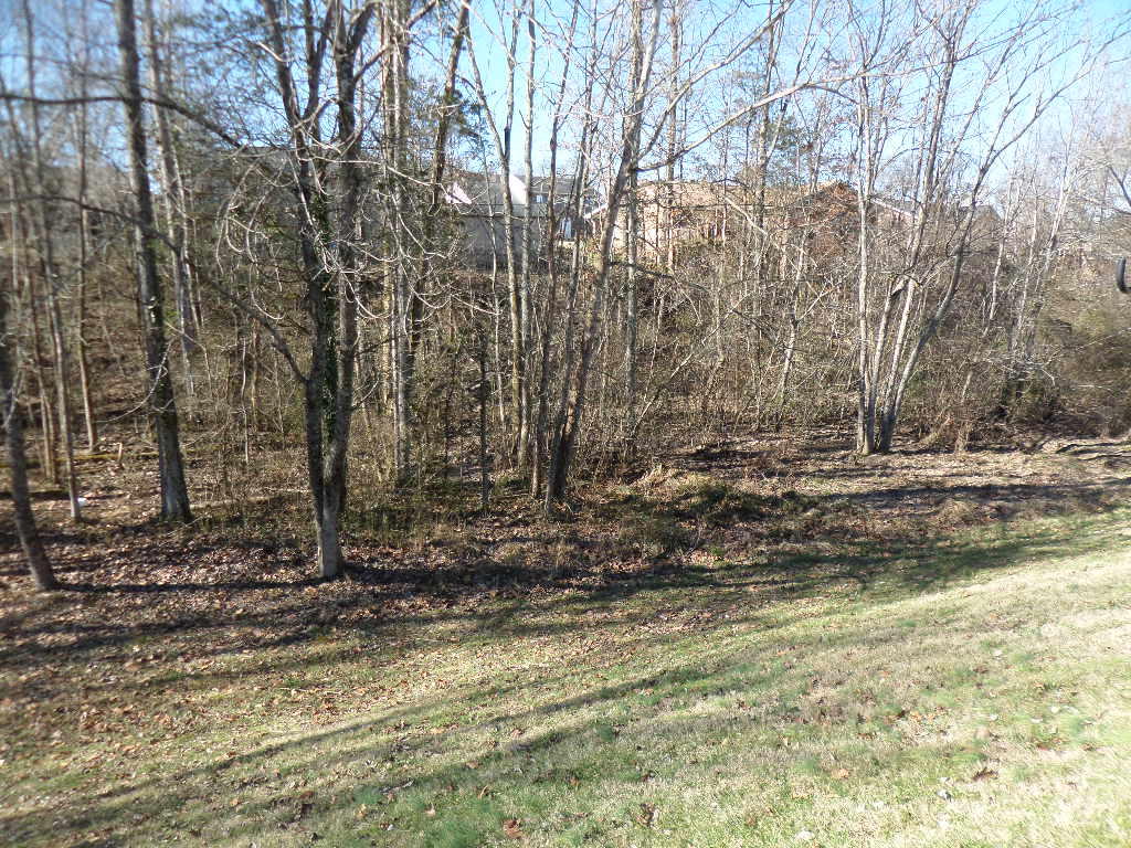 121 Brandeis Lane Oak Ridge, TN 37830 - Photo 24 of 24 Back Yard