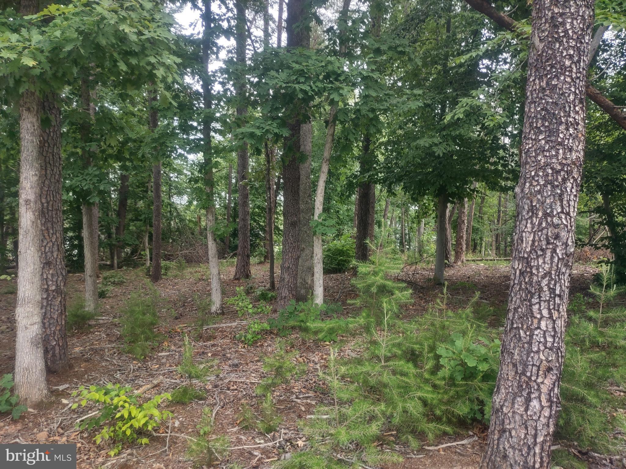 74 Sunset Loop Mineral, VA 23117 - Photo 1 of 13 Lot 74