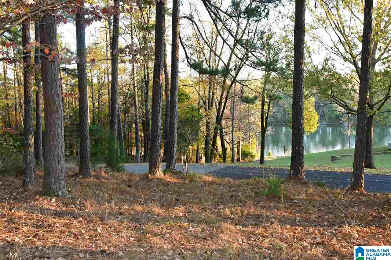 1745 King Mountain Road Gadsden, AL 35901 - Photo 49 of 50