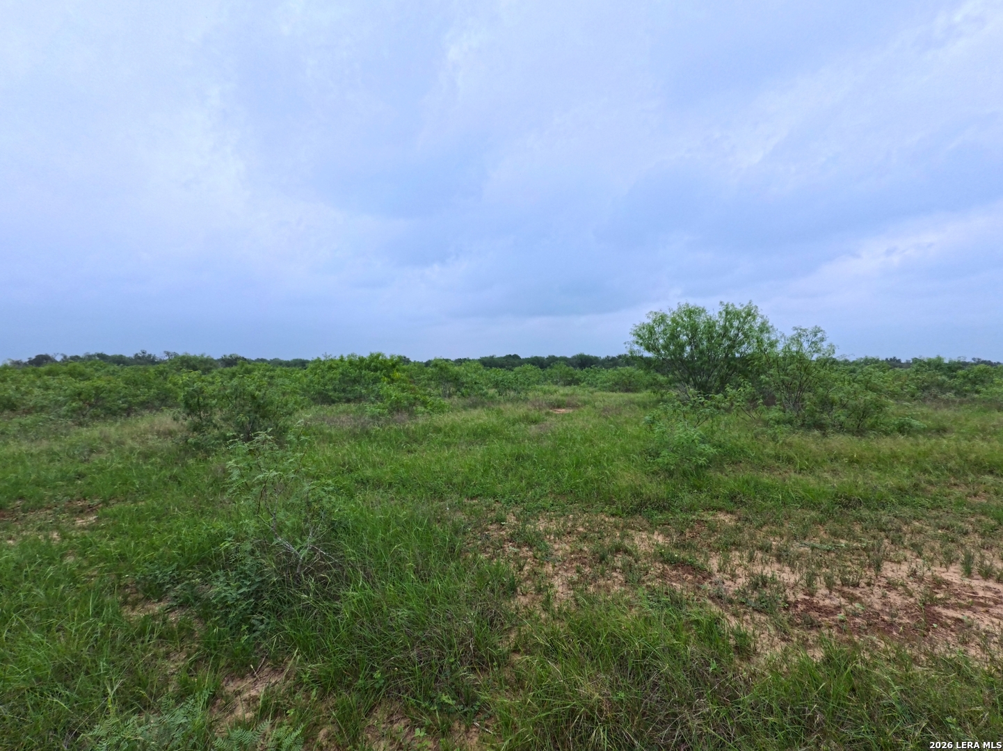 467 County Road 467 Elgin, TX 78621 - Photo 26 of 26