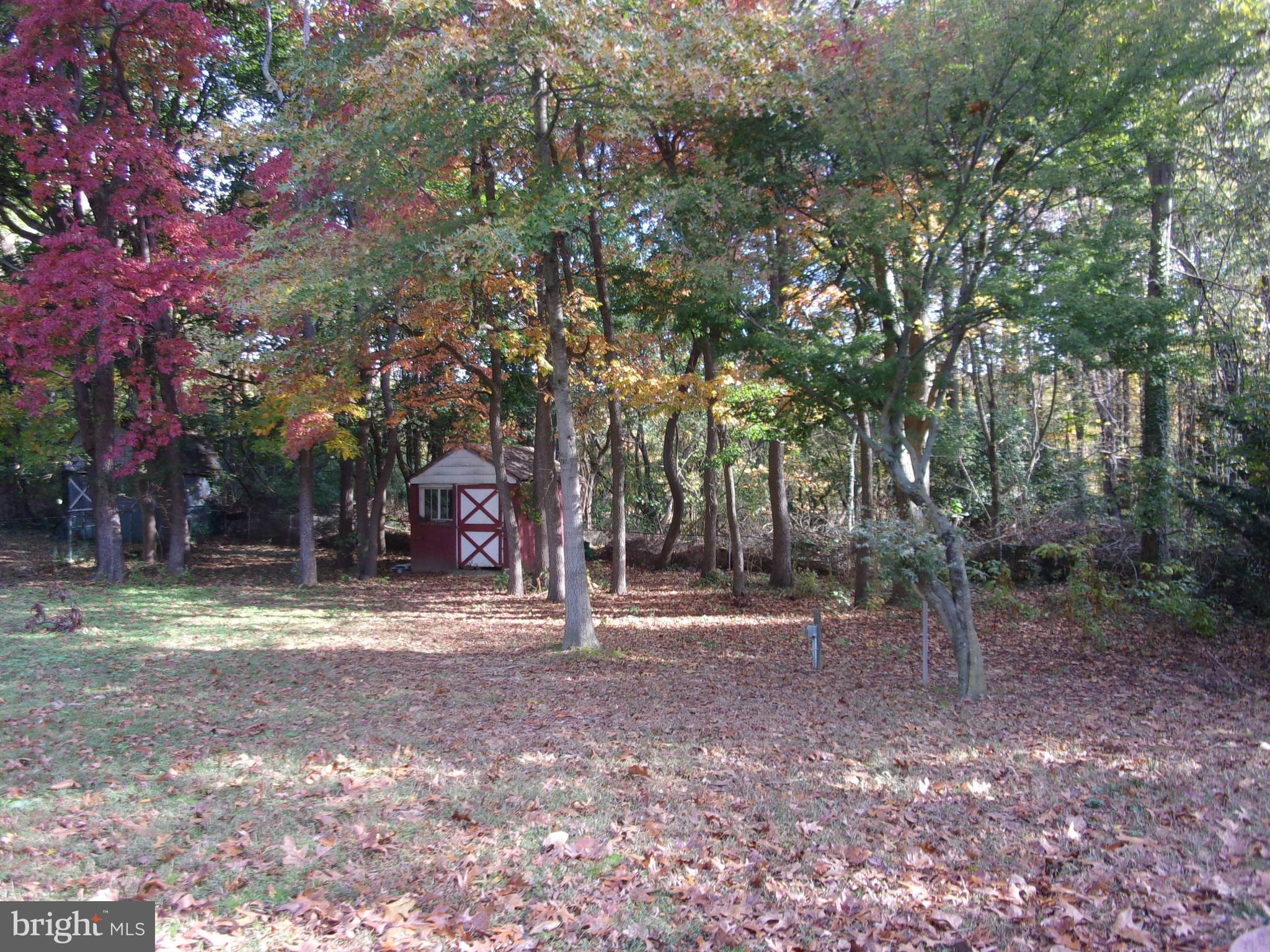 262 Sunset Road Barrington, NJ 08007 - Photo 29 of 31 Back yard