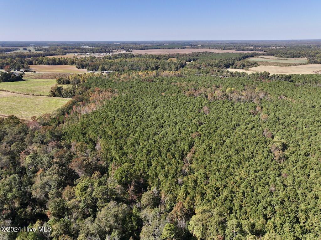 2 Veachs Mill Road Warsaw, NC 28398 - Photo 16 of 27 15