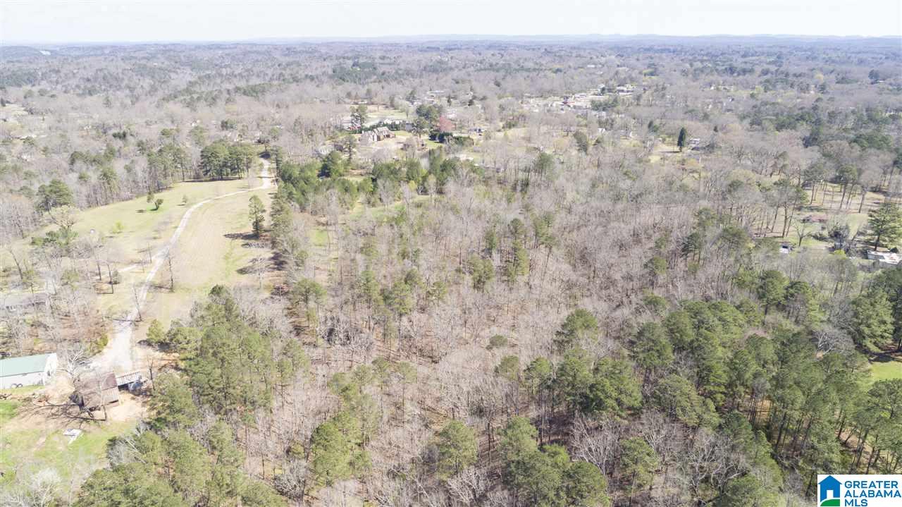 850 Rosemary Way Mount Olive, AL 35117 - Photo 10 of 12