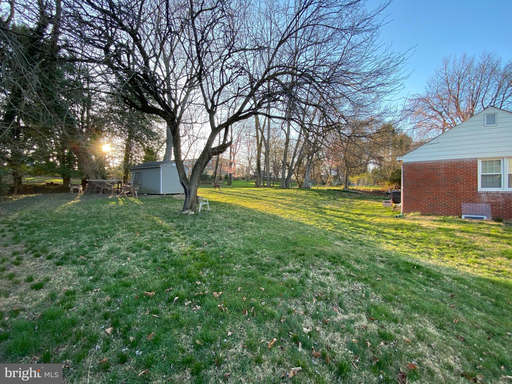 13218 Bregman Road Silver Spring, MD 20904 - Photo 3 of 18 Back yard