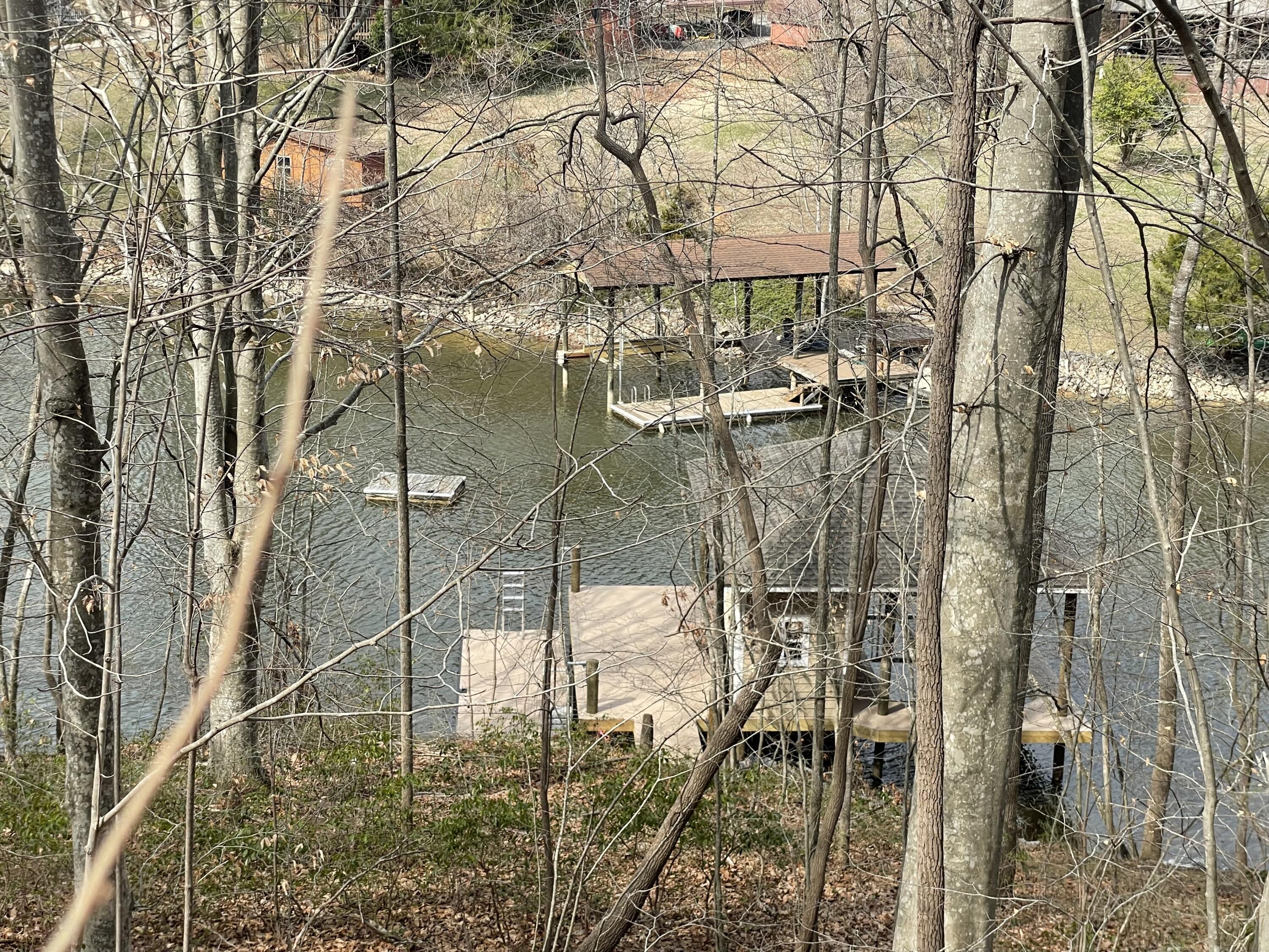 4 Lester Lane Goodview, VA 24095 - Photo 2 of 10 a picture of trees