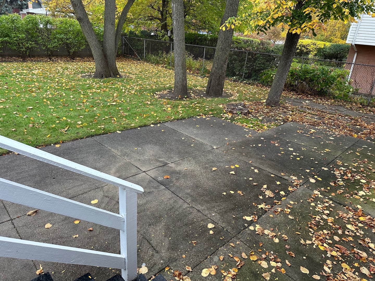 3910 White Cloud Drive Skokie, IL 60076 - Photo 17 of 23 a view of a back yard