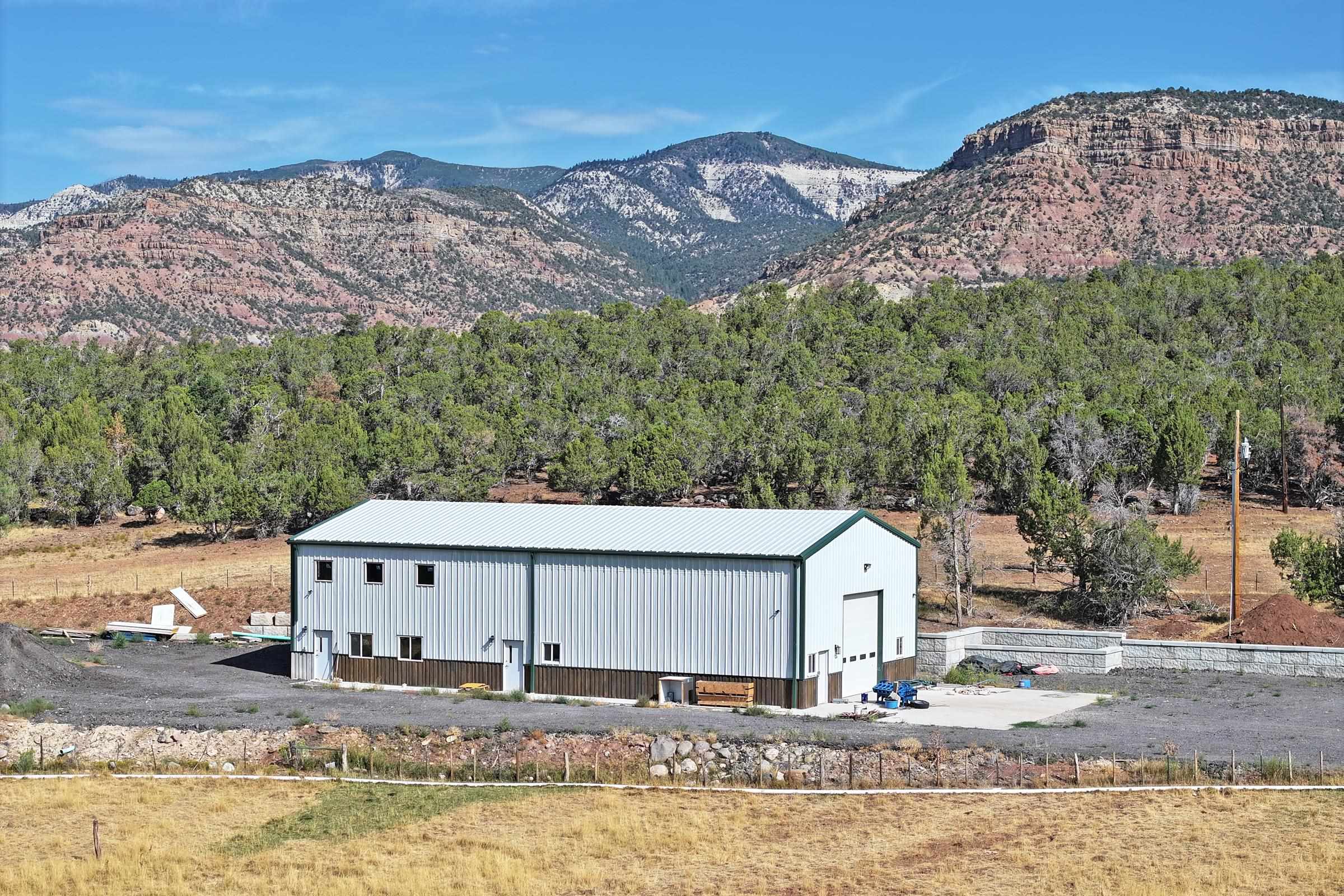 16143 58 6/10 Road Collbran, CO 81624 - Photo 7 of 42 Gallery Image 7