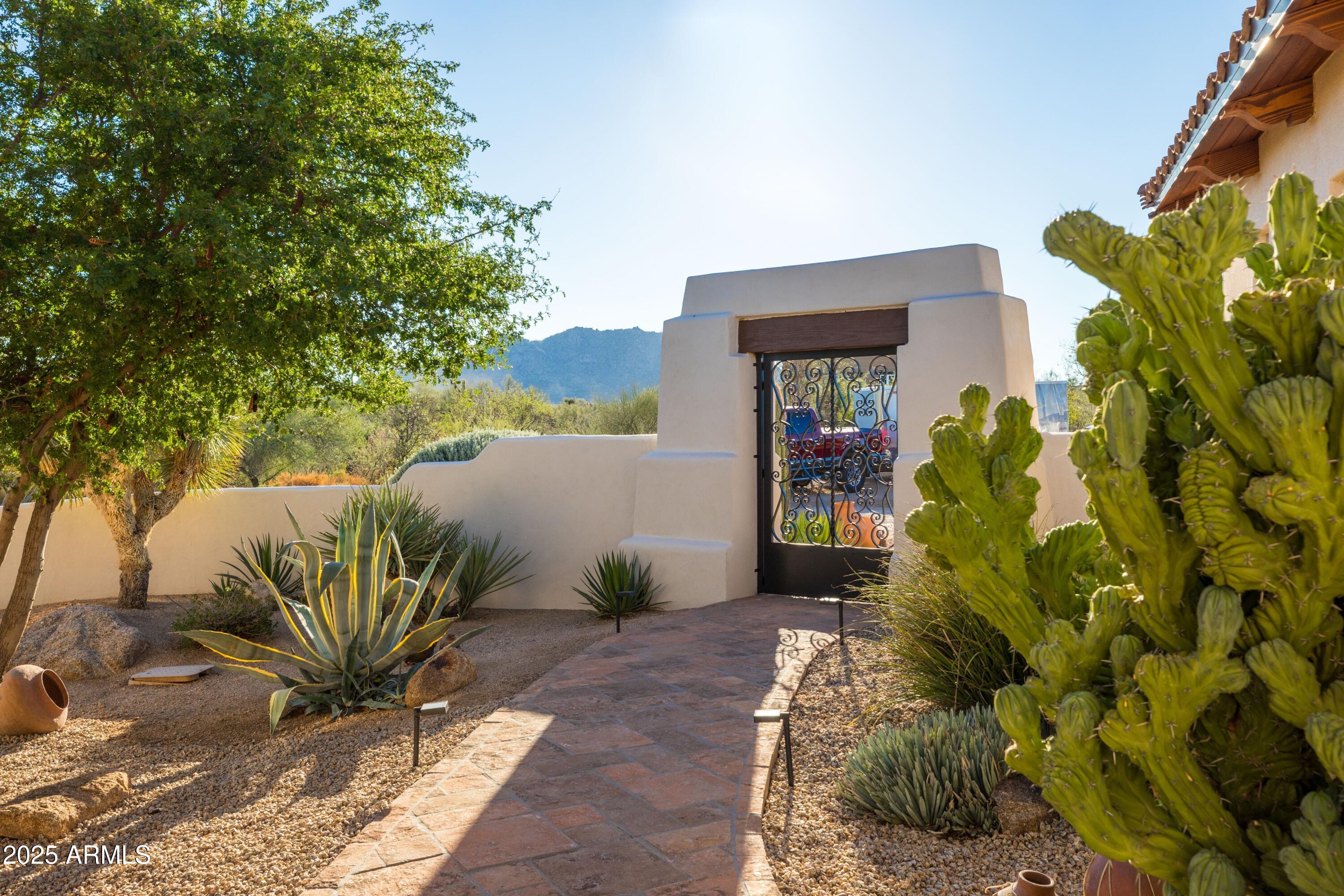14224 East Rockview Road Scottsdale, AZ 85262 - Photo 14 of 118 a view of a potted plants in front of a house