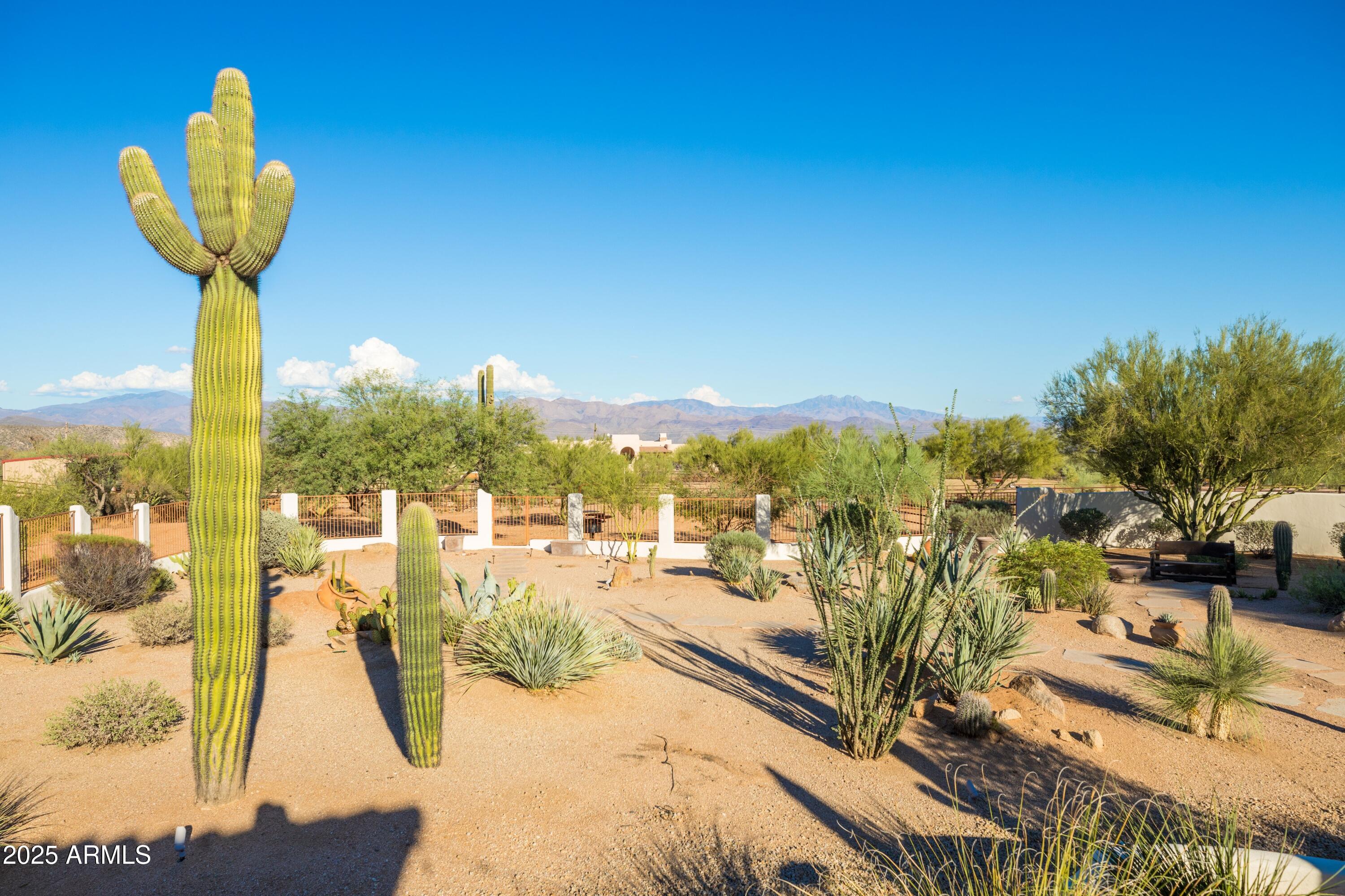 14224 East Rockview Road Scottsdale, AZ 85262 - Photo 67 of 118 a view of a swimming pool with a patio