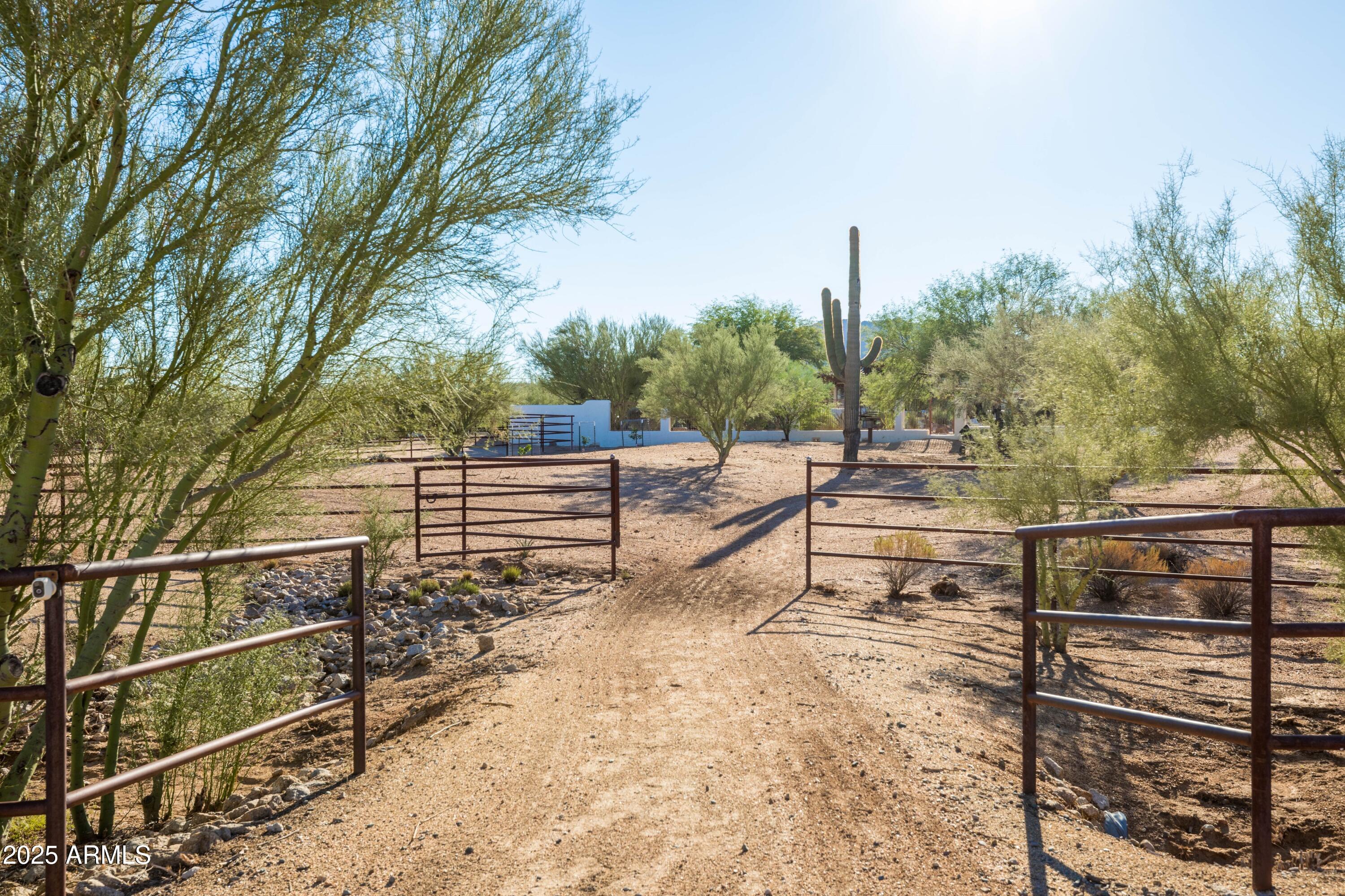 14224 East Rockview Road Scottsdale, AZ 85262 - Photo 83 of 118 Natural Desert Vegetation