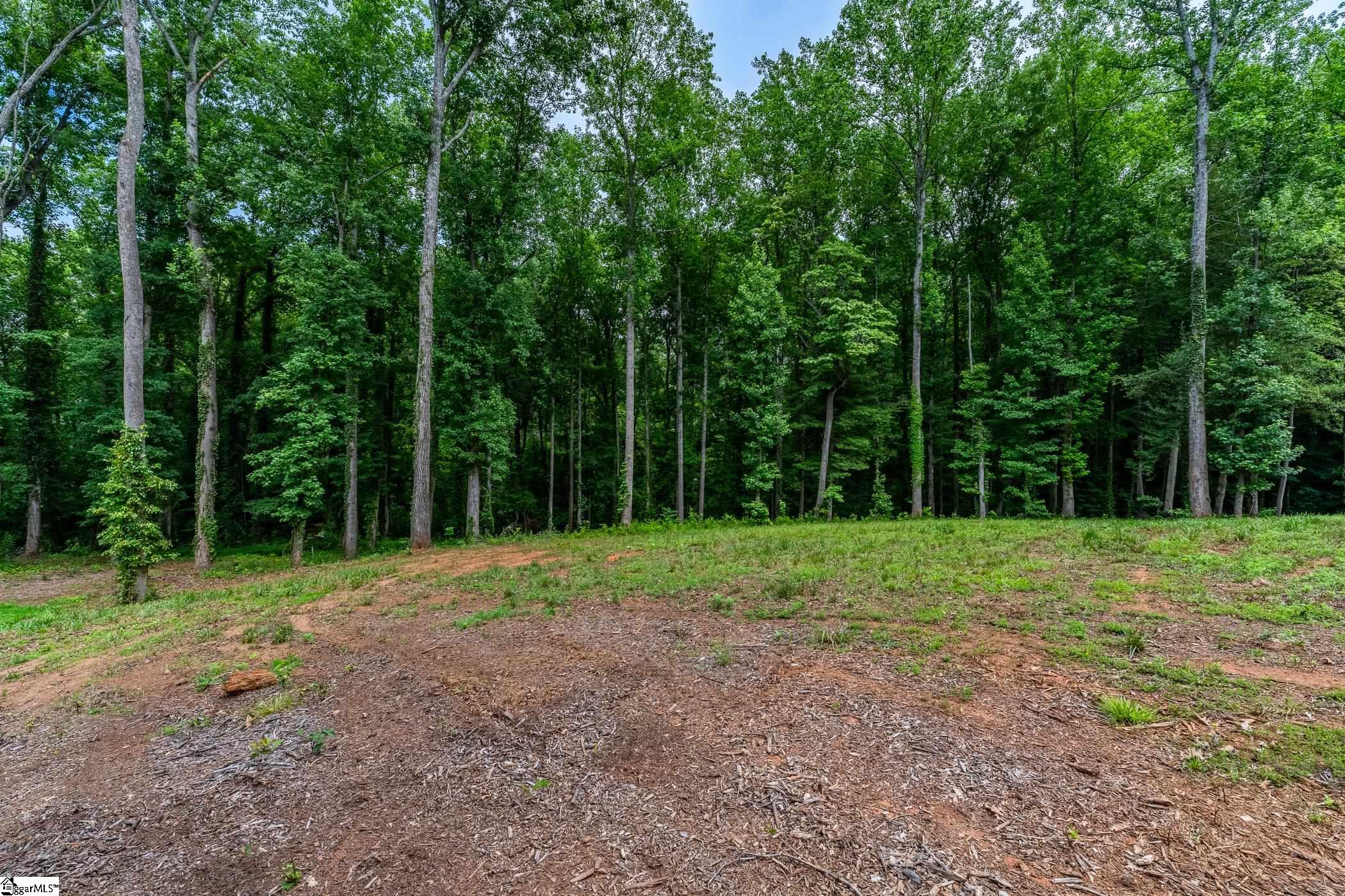 136 Amber Drive Inman, SC 29349 - Photo 20 of 21