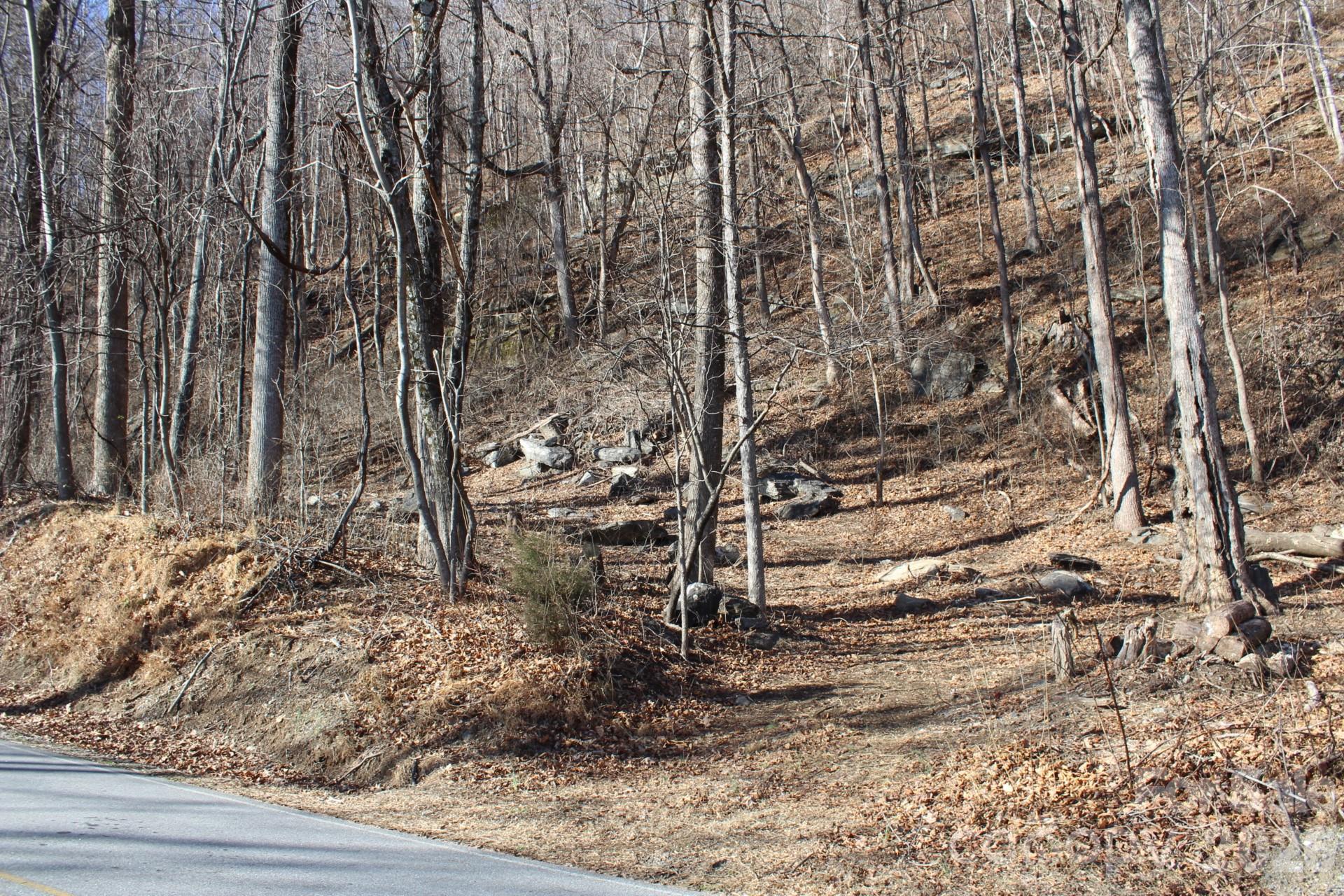 Lot 58 White Oak Mountain Road, Unit 58 Columbus, NC 28722 - Photo 11 of 29