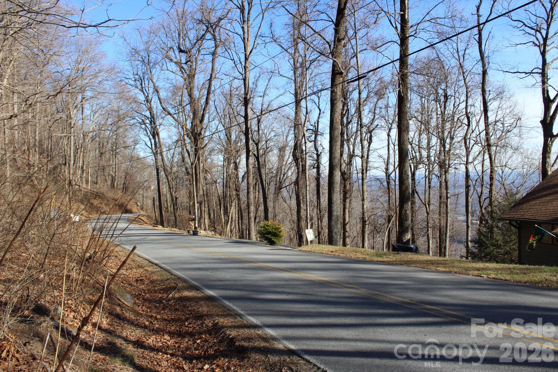 Lot 58 White Oak Mountain Road, Unit 58 Columbus, NC 28722 - Photo 12 of 29