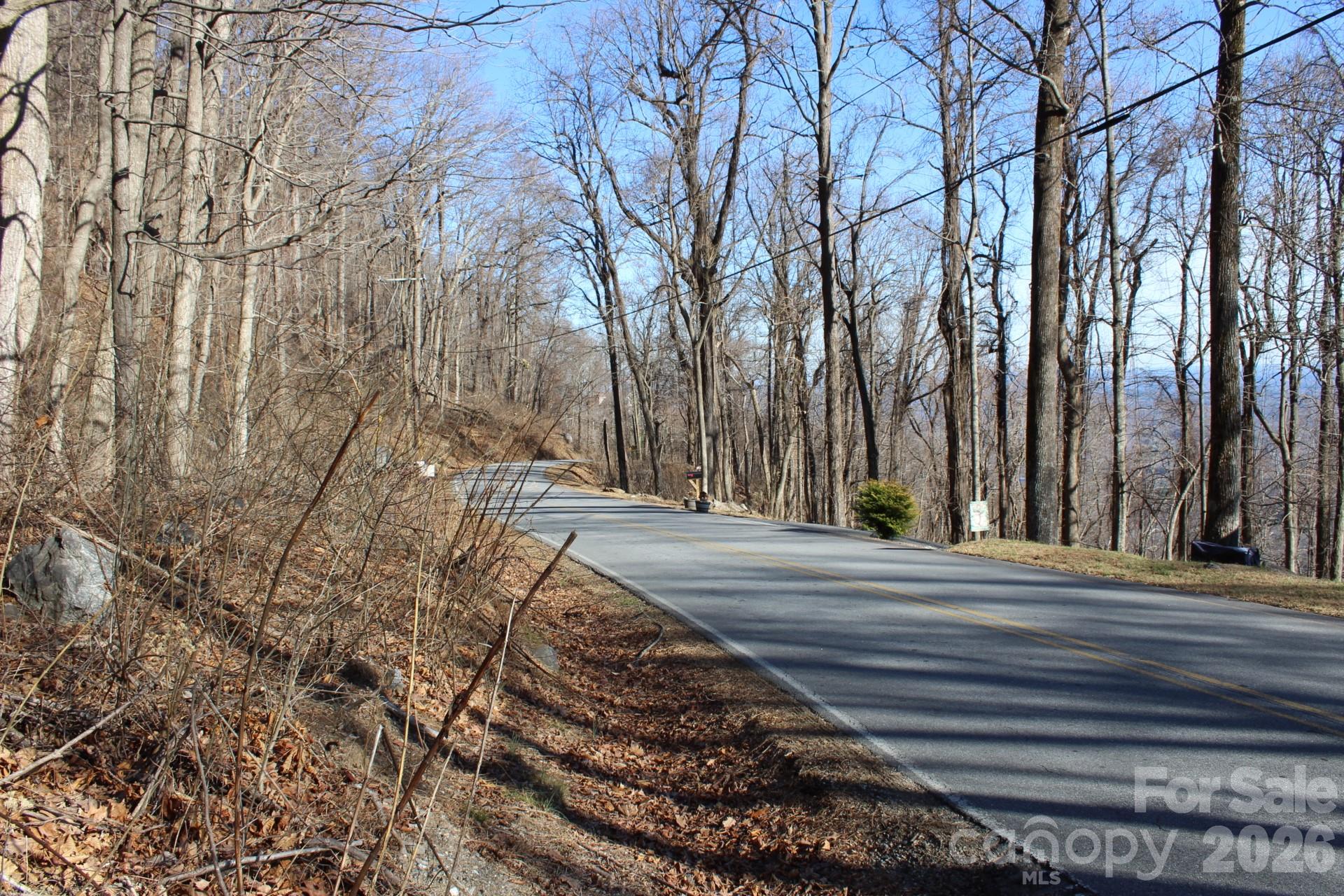Lot 58 White Oak Mountain Road, Unit 58 Columbus, NC 28722 - Photo 13 of 29