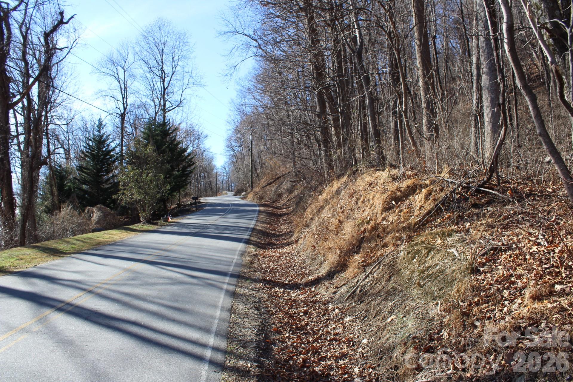 Lot 58 White Oak Mountain Road, Unit 58 Columbus, NC 28722 - Photo 14 of 29