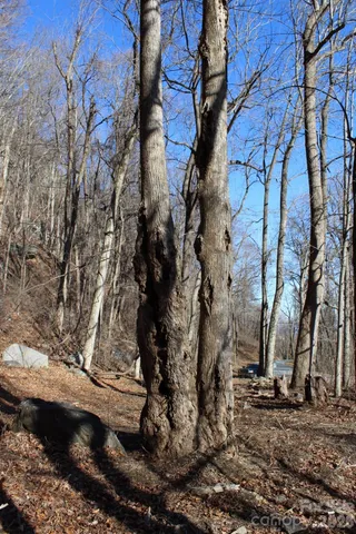 $29,900 | Lot 58 White Oak Mountain Road, Unit 58, Columbus, NC 28722