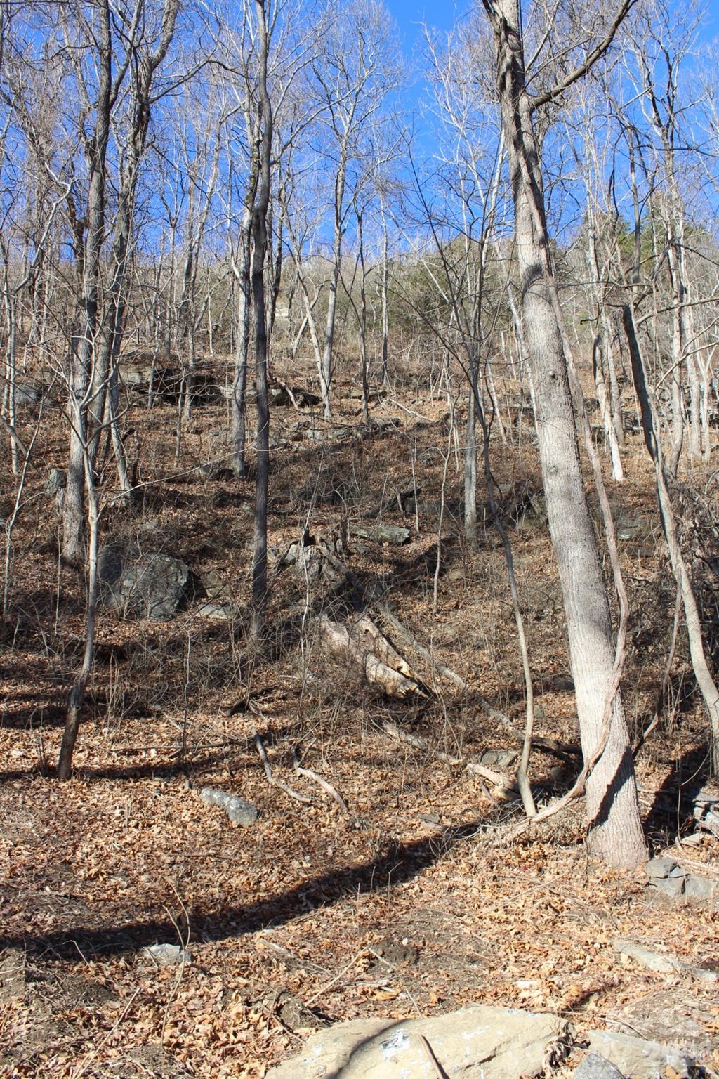 Lot 58 White Oak Mountain Road, Unit 58 Columbus, NC 28722 - Photo 17 of 29