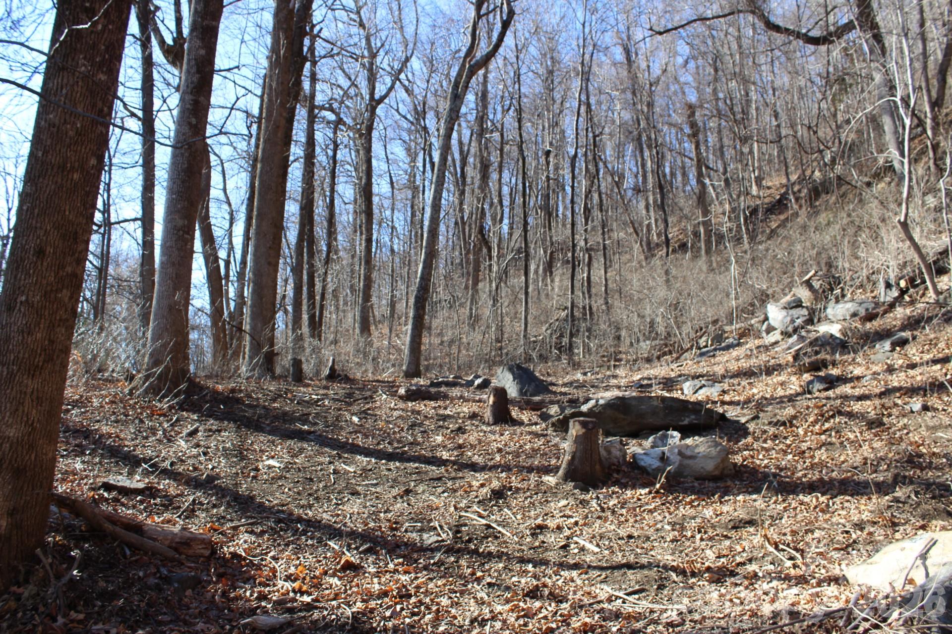 Lot 58 White Oak Mountain Road, Unit 58 Columbus, NC 28722 - Photo 18 of 29