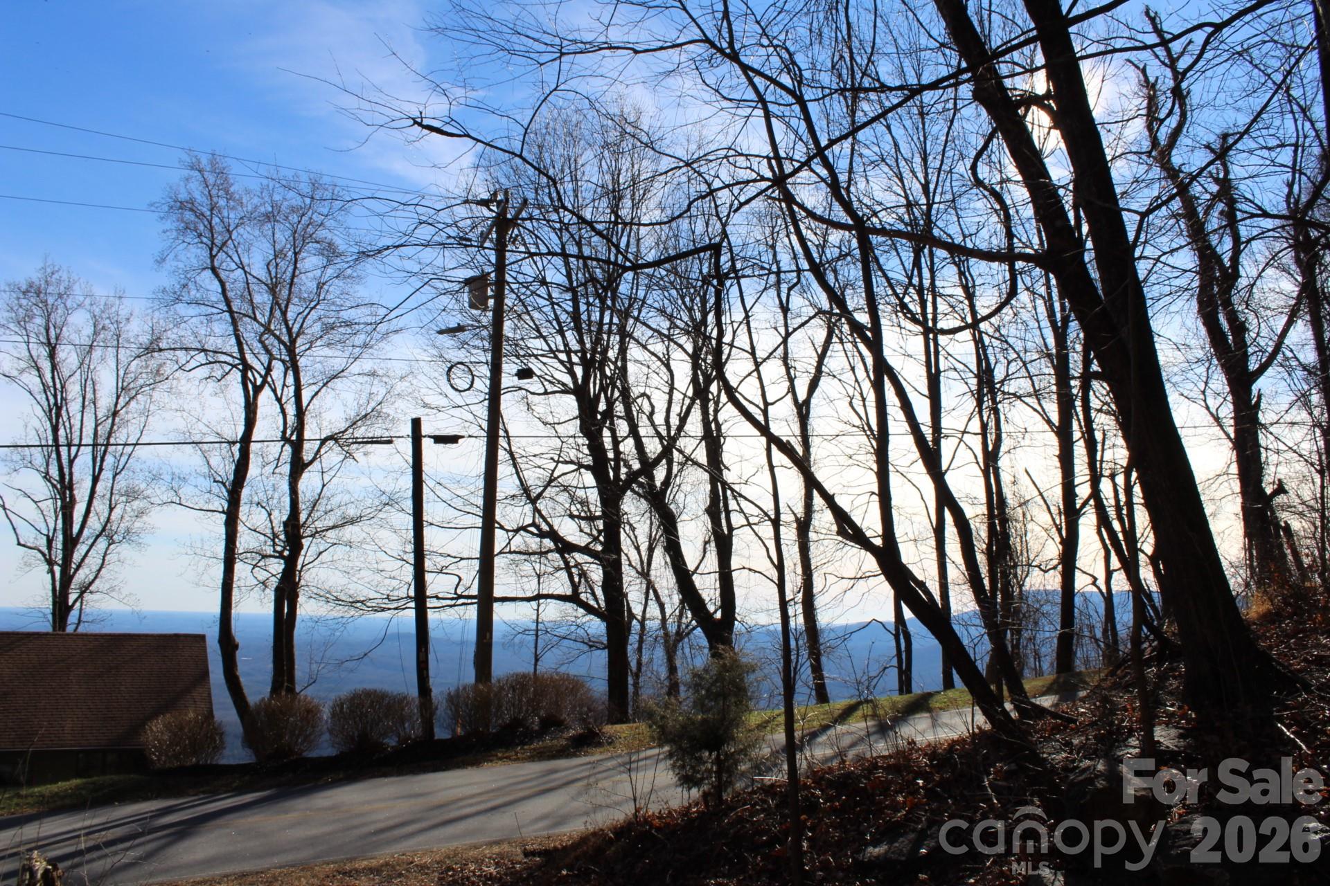 Lot 58 White Oak Mountain Road, Unit 58 Columbus, NC 28722 - Photo 19 of 29
