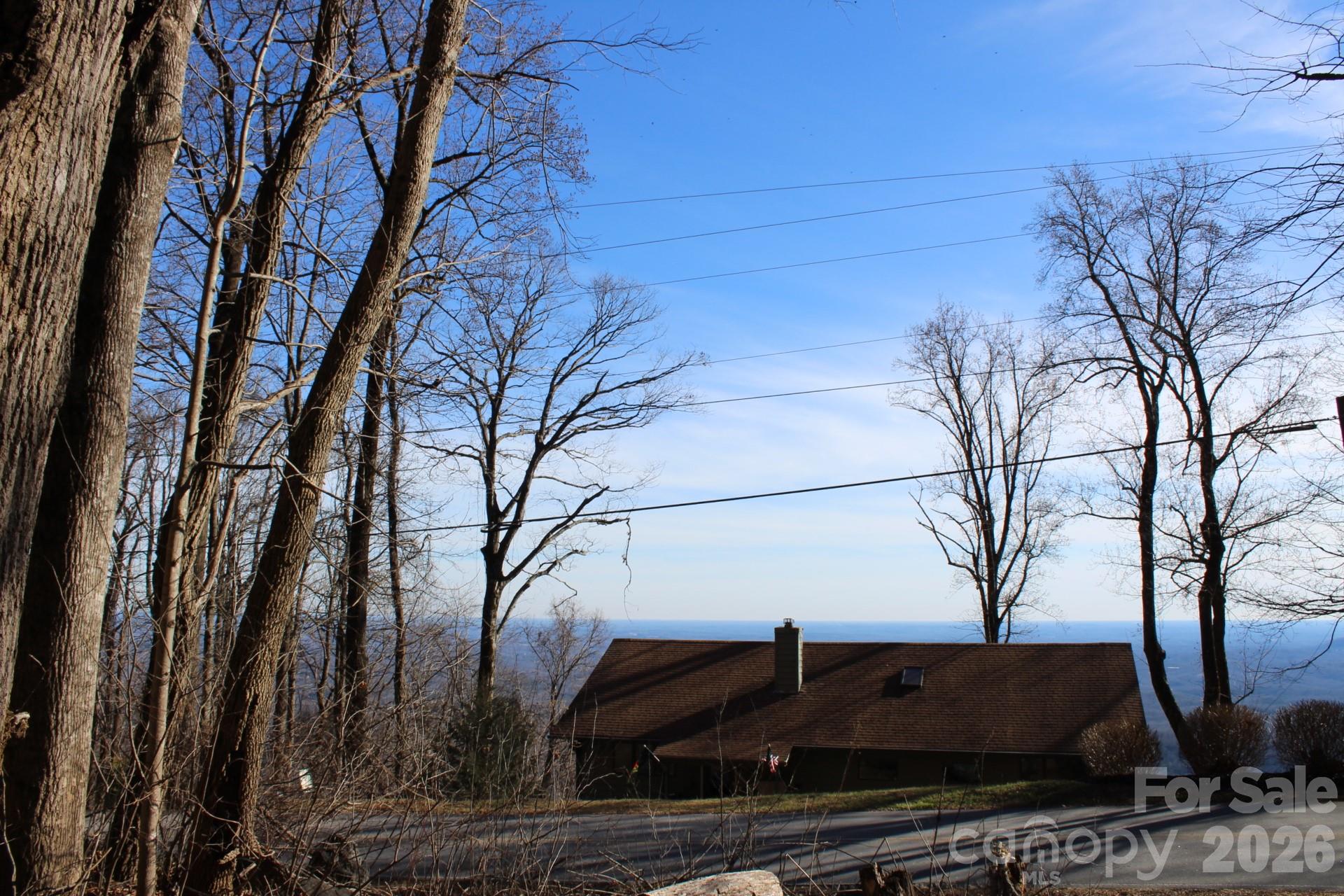 Lot 58 White Oak Mountain Road, Unit 58 Columbus, NC 28722 - Photo 20 of 29