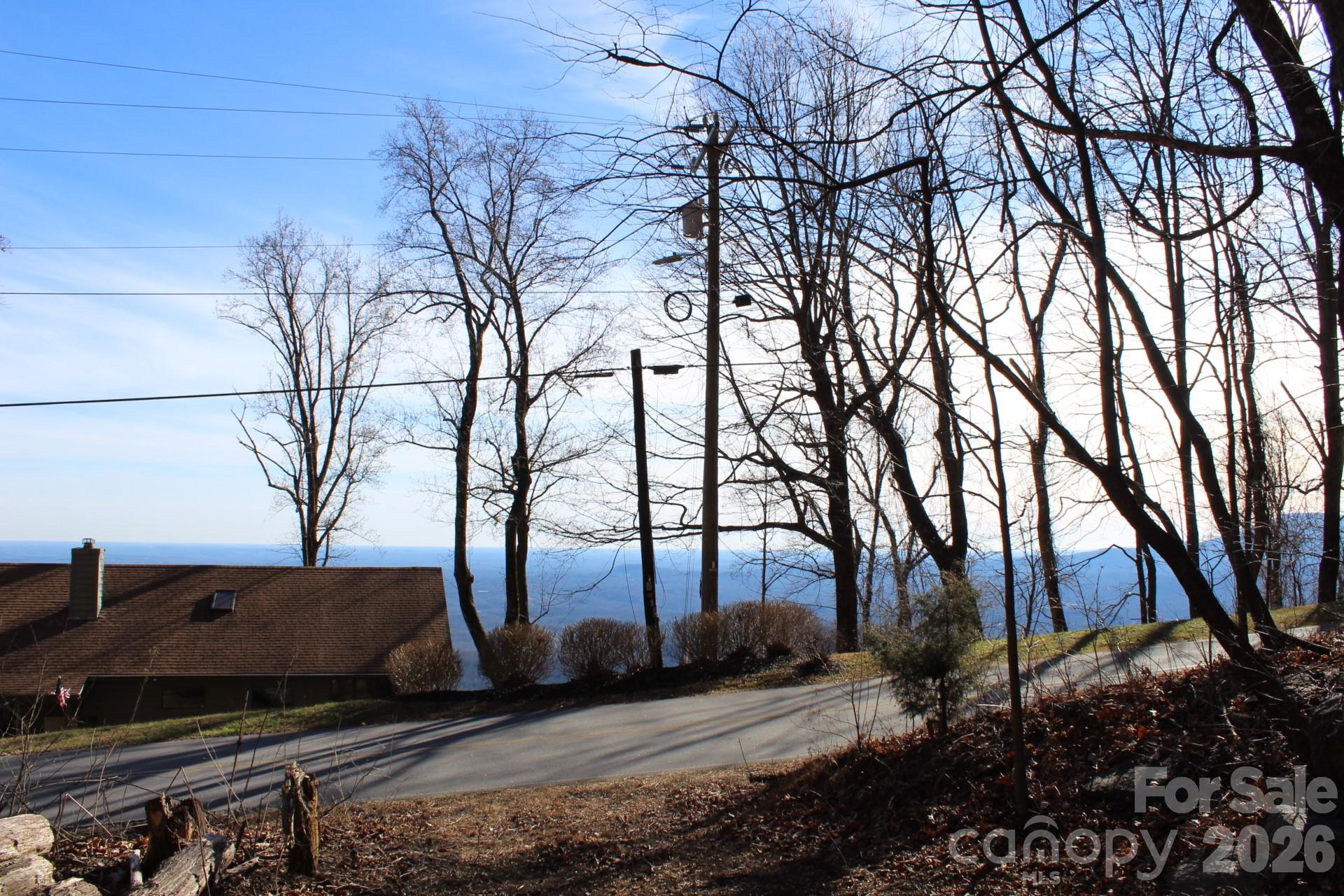 Lot 58 White Oak Mountain Road, Unit 58 Columbus, NC 28722 - Photo 21 of 29