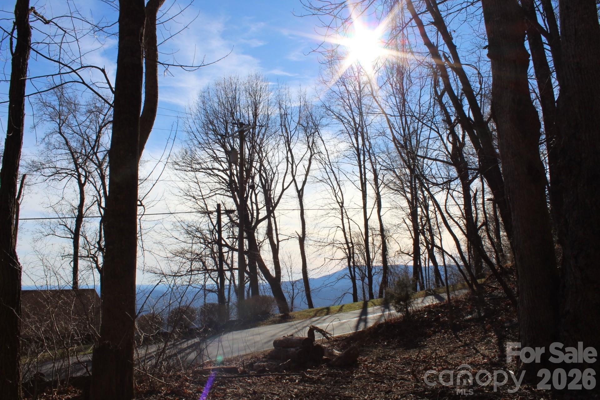 Lot 58 White Oak Mountain Road, Unit 58 Columbus, NC 28722 - Photo 22 of 29