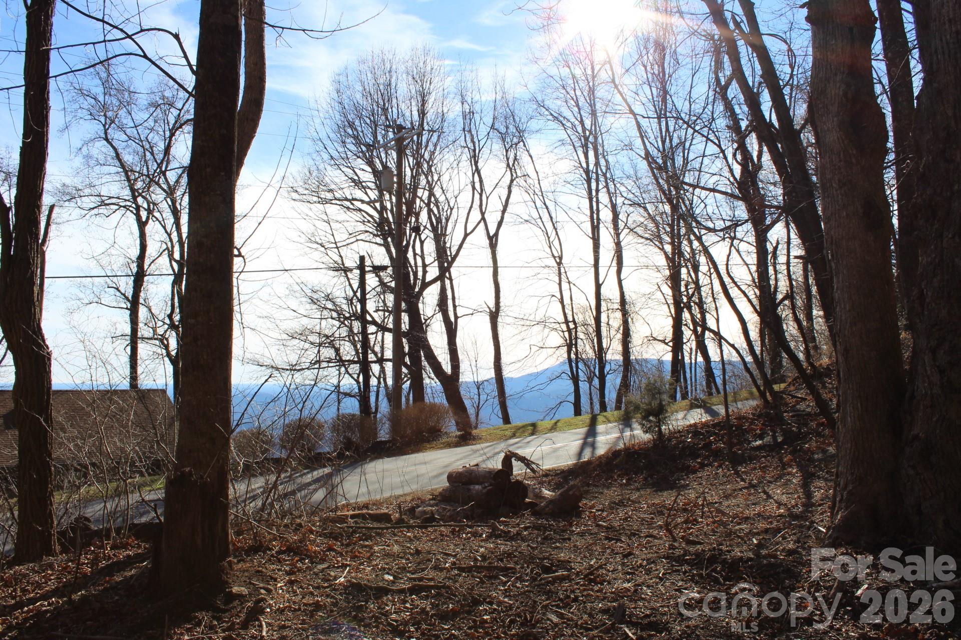 Lot 58 White Oak Mountain Road, Unit 58 Columbus, NC 28722 - Photo 23 of 29