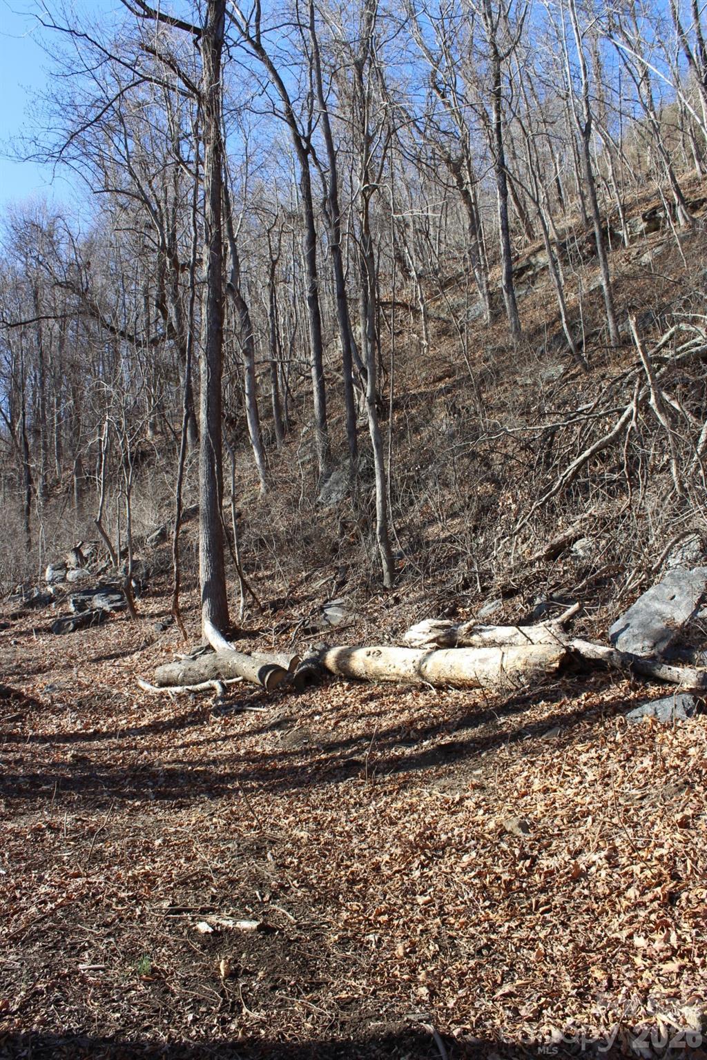 Lot 58 White Oak Mountain Road, Unit 58 Columbus, NC 28722 - Photo 25 of 29