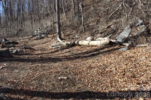 $29,900 | Lot 58 White Oak Mountain Road, Unit 58, Columbus, NC 28722