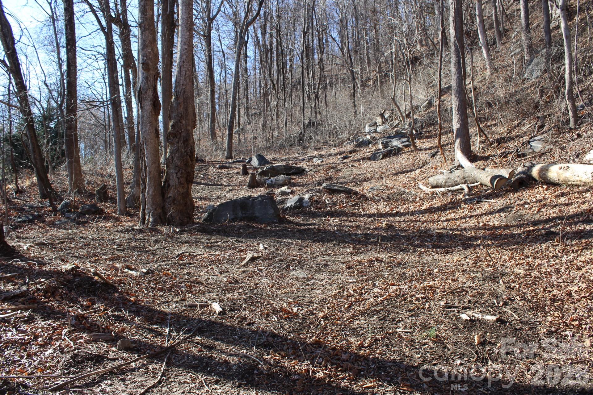 Lot 58 White Oak Mountain Road, Unit 58 Columbus, NC 28722 - Photo 27 of 29