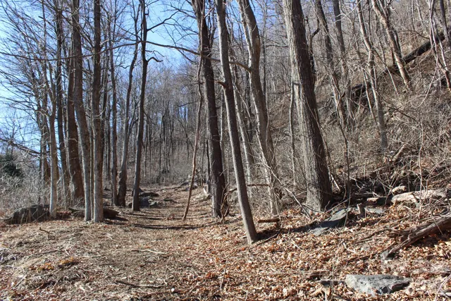 $29,900 | Lot 58 White Oak Mountain Road, Unit 58, Columbus, NC 28722