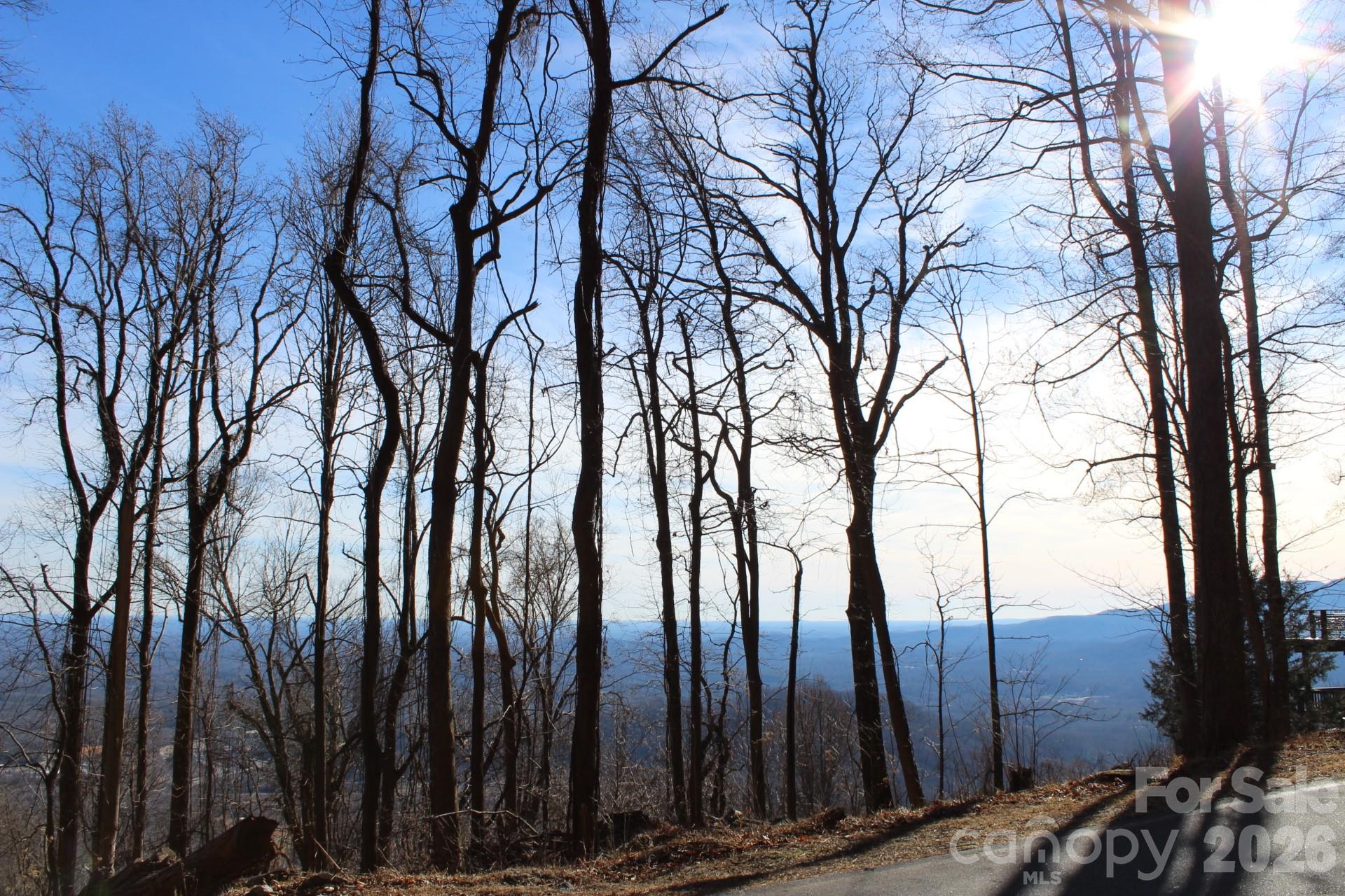 Lot 58 White Oak Mountain Road, Unit 58 Columbus, NC 28722 - Photo 4 of 29