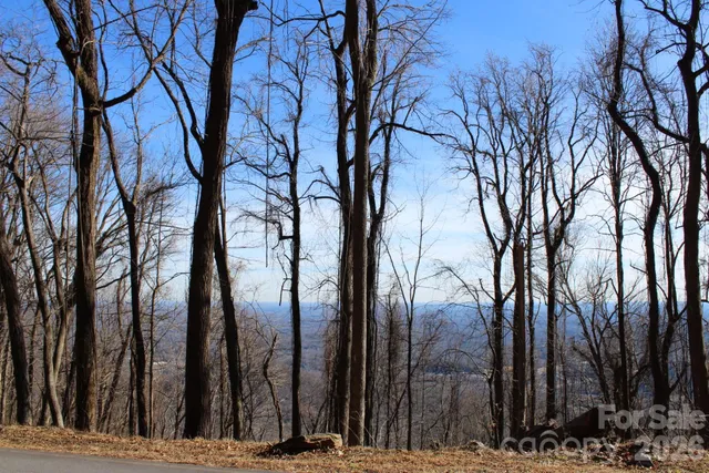 $29,900 | Lot 58 White Oak Mountain Road, Unit 58, Columbus, NC 28722