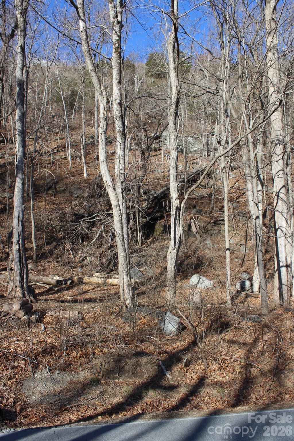 Lot 58 White Oak Mountain Road, Unit 58 Columbus, NC 28722 - Photo 6 of 29