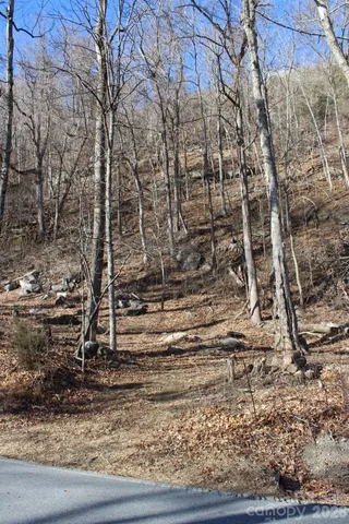 $29,900 | Lot 58 White Oak Mountain Road, Unit 58, Columbus, NC 28722