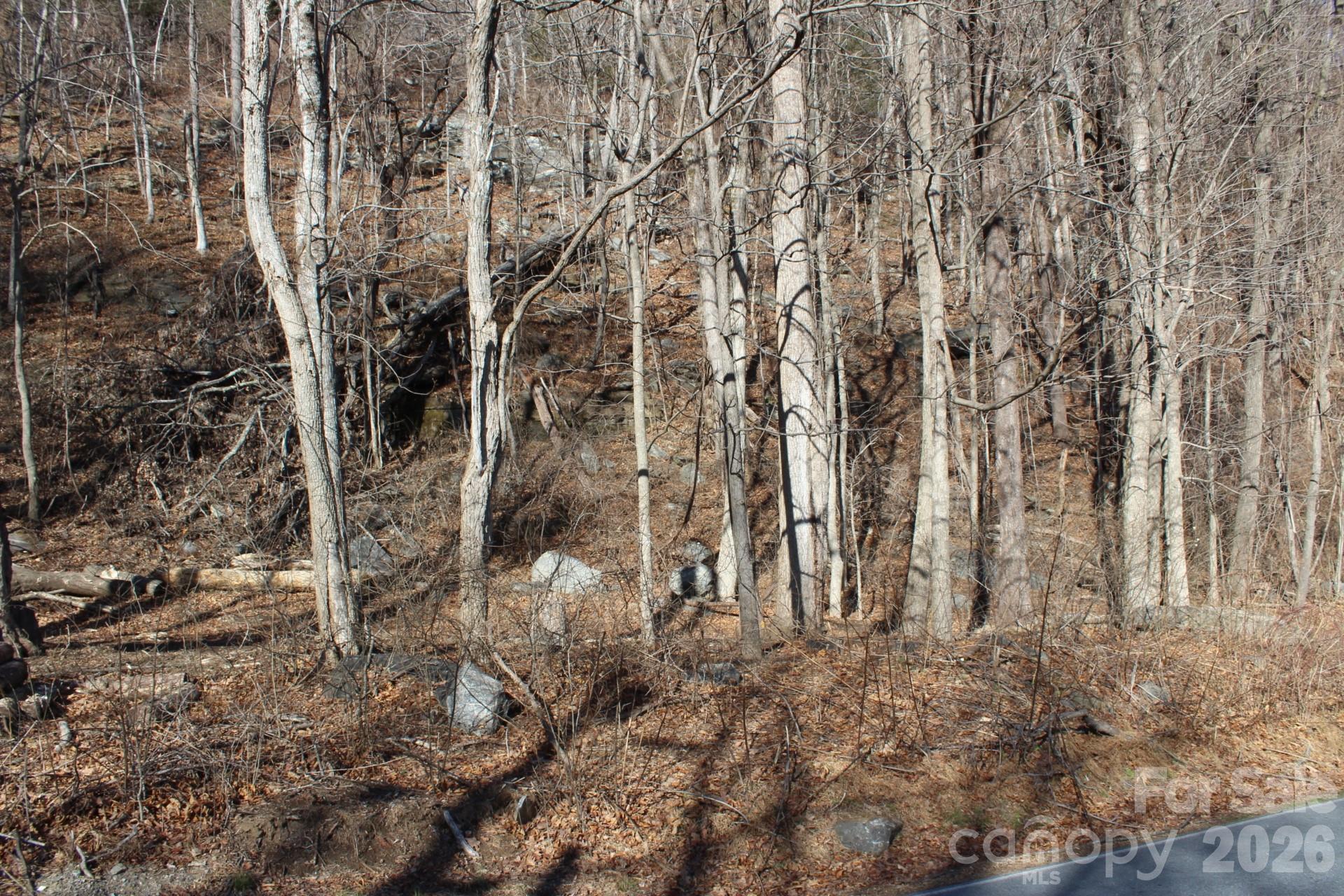 Lot 58 White Oak Mountain Road, Unit 58 Columbus, NC 28722 - Photo 9 of 29