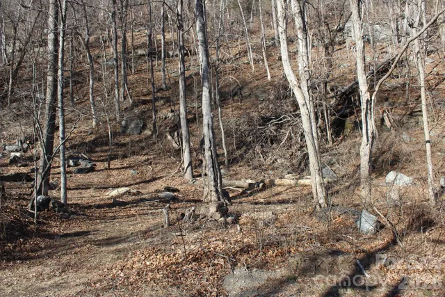 $29,900 | Lot 58 White Oak Mountain Road, Unit 58, Columbus, NC 28722