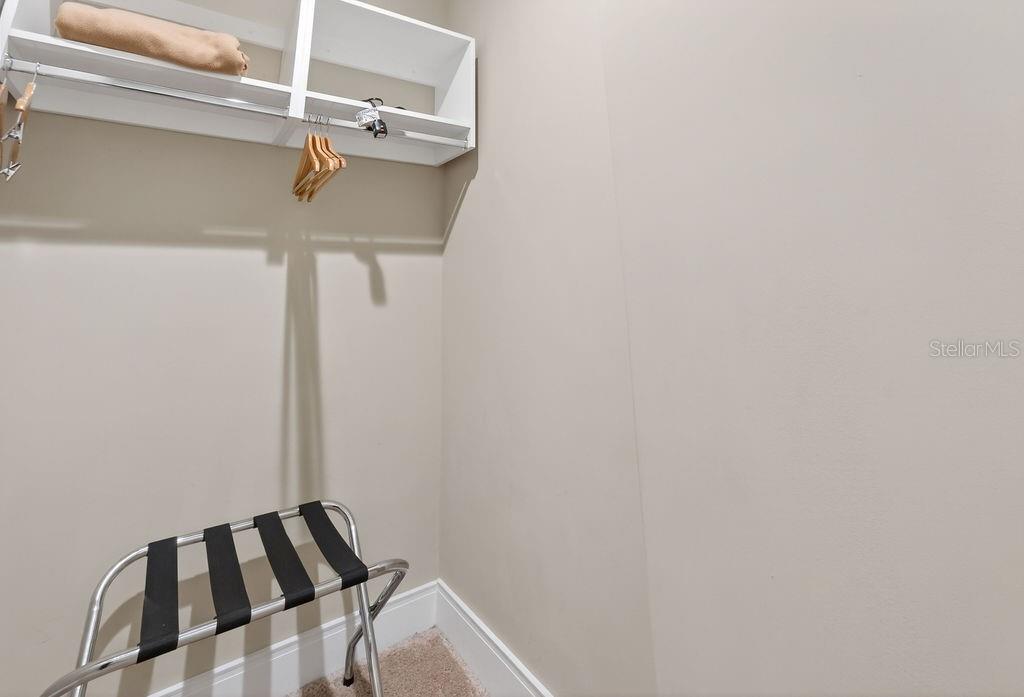 3119 Rockefeller Way Kissimmee, FL 34747 - Photo 23 of 57 a view of a walk in closet
