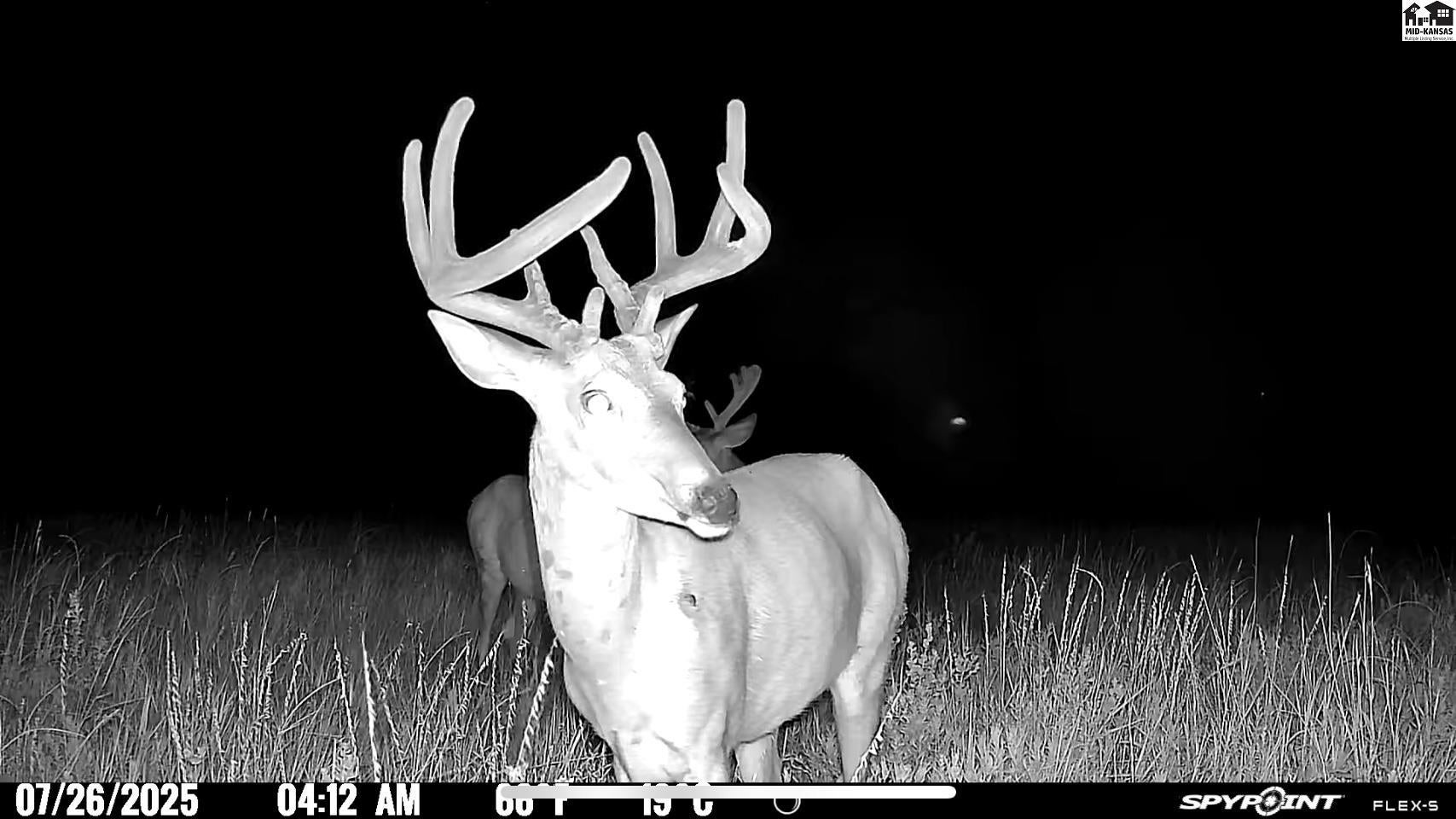 0 M Road Burdett, KS 67523 - Photo 14 of 50 Gallery Image 14