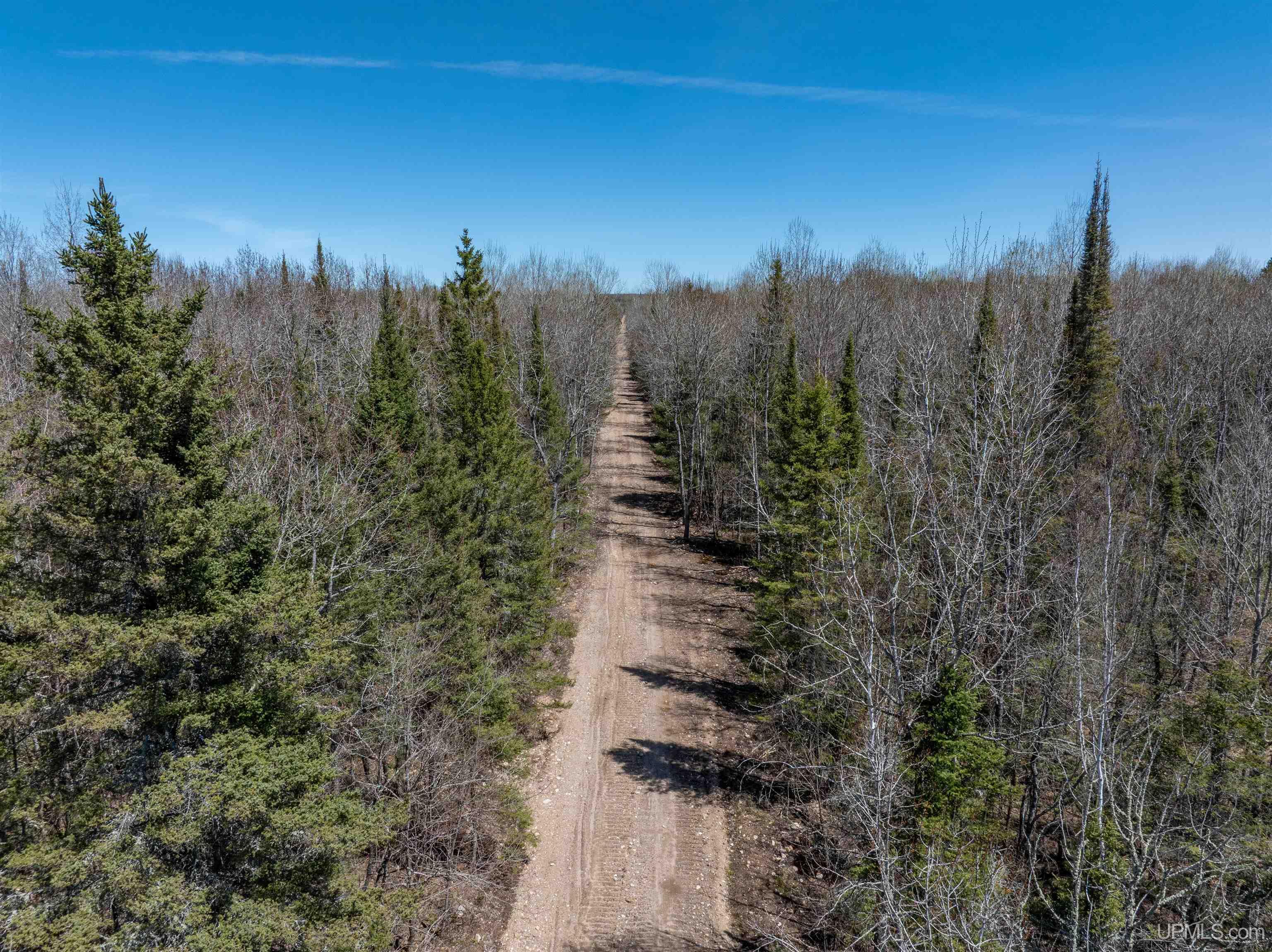 E4291 Walleye Road Chatham, MI 49816 - Photo 37 of 52