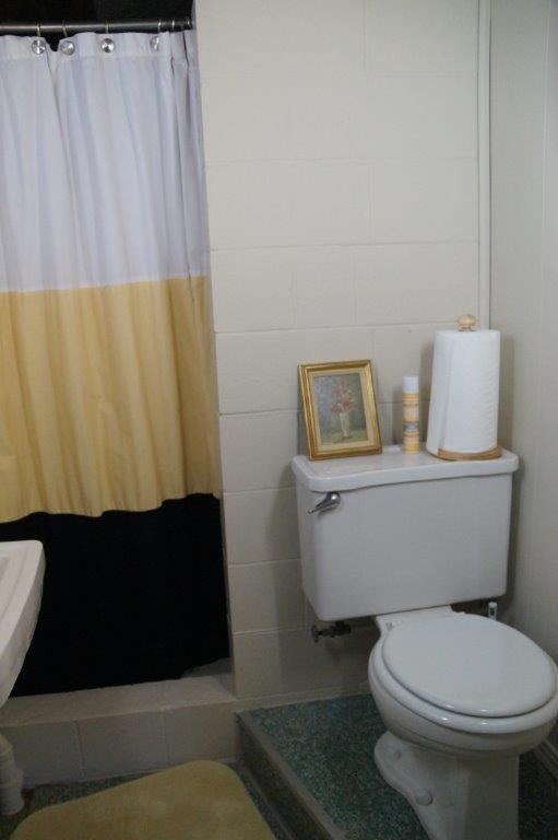 118 Shafer Road Coraopolis, PA 15108 - Photo 23 of 25 2nd Bathroom/shower bath. Newly painted.