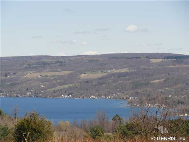 0 Rugby Road Branchport, NY 14418 - Photo 1 of 1 Land.