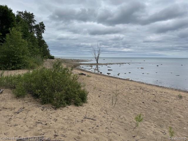 0 Lakeshore Road Forestville, MI 48434 - Photo 5 of 16 Gallery Image 5