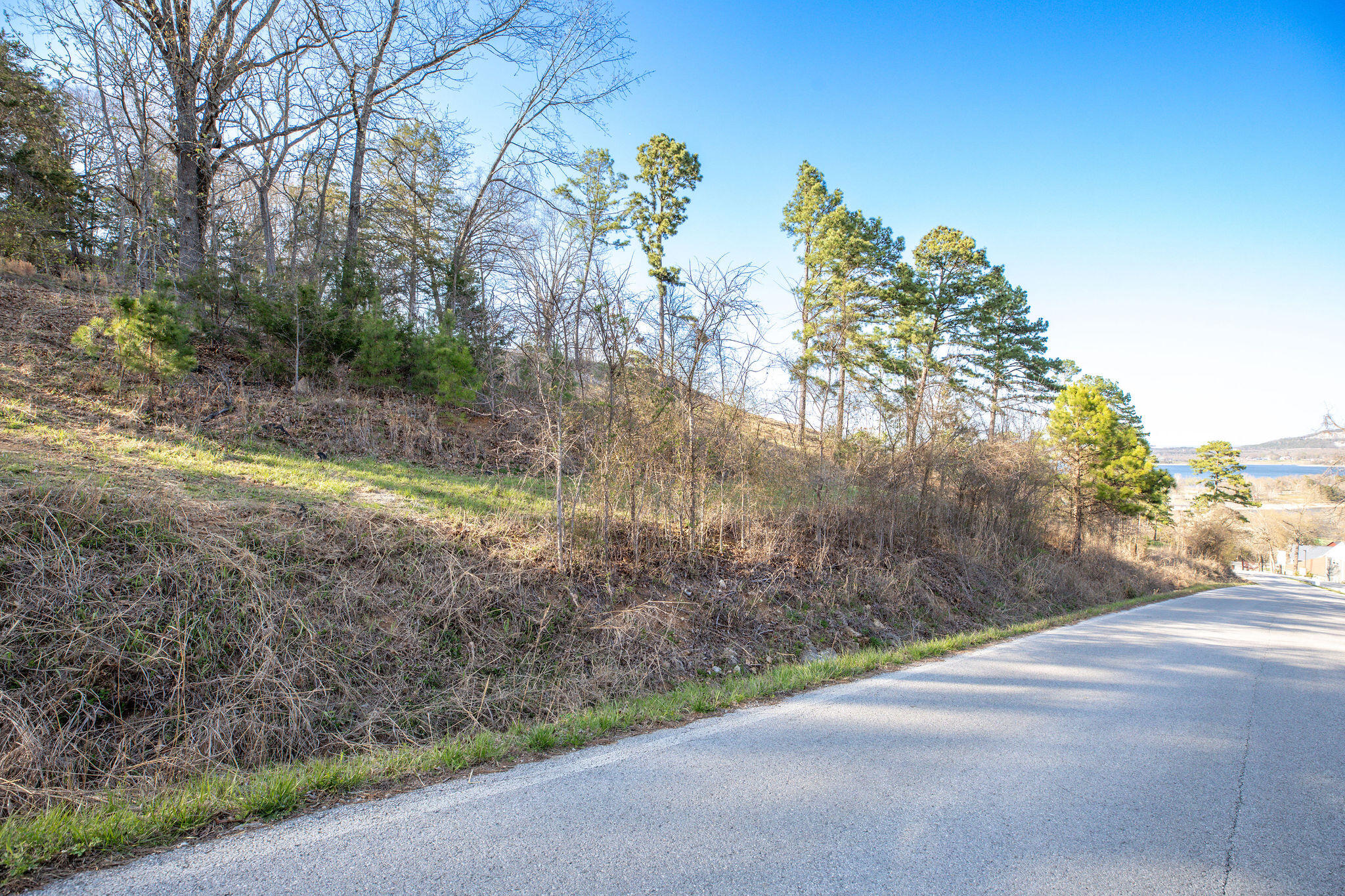 Lot 2 Grizzly Ridge Blue Eye, MO 65611 - Photo 16 of 24 Lot 2 A Grizzly Ridge
